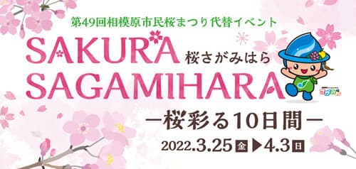 sagamihara_sakura.jpg